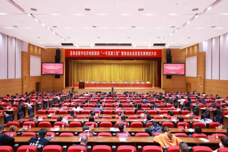 全力打造工業(yè)強(qiáng)縣升級(jí)版！嘉善這樣干→